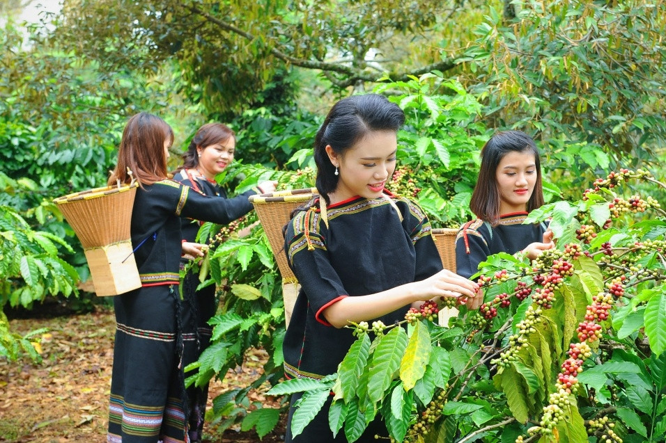 Ông Ksor Phước: Từ những 'làng 6 không', bà con nay đã biết làm kinh tế hàng hóa