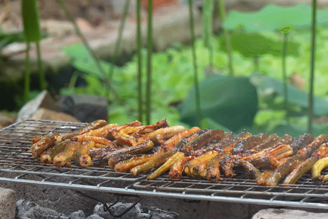 Sản vật trời ban nhìn giống lươn, đem nướng hay om củ chuối đều ngon