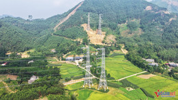 W-duong day 500kv 2.jpg
