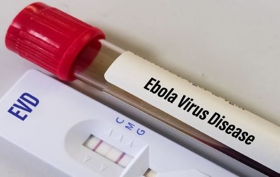 WHO cảnh báo khẩn về dịch Ebola, Bộ Y tế Việt Nam ra khuyến cáo