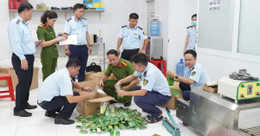 Dầu gió giả khám xét.jpeg