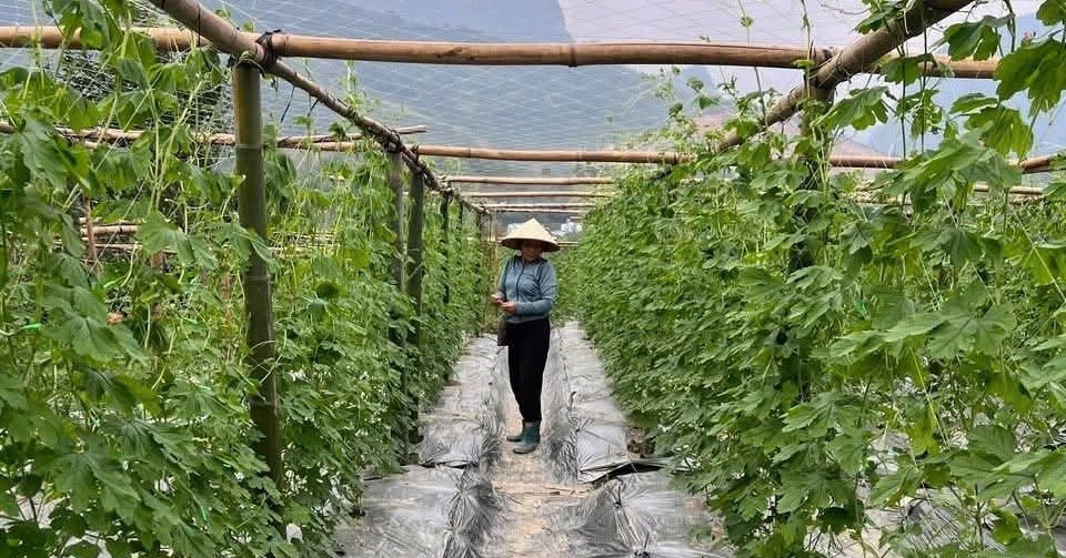 Hà Tĩnh đẩy mạnh tuyên truyền khoa học công nghệ và chuyển đổi số