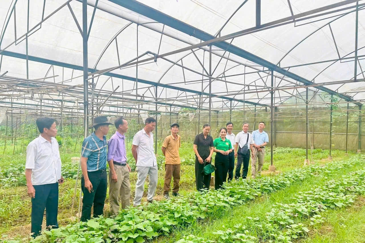 Lào Cai chú trọng giảm nghèo thông tin, phát triển nông thôn toàn diện