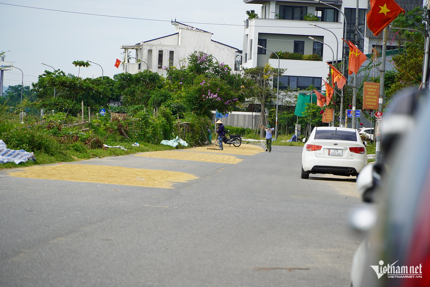 W-phơi lúa 1.JPG.jpg