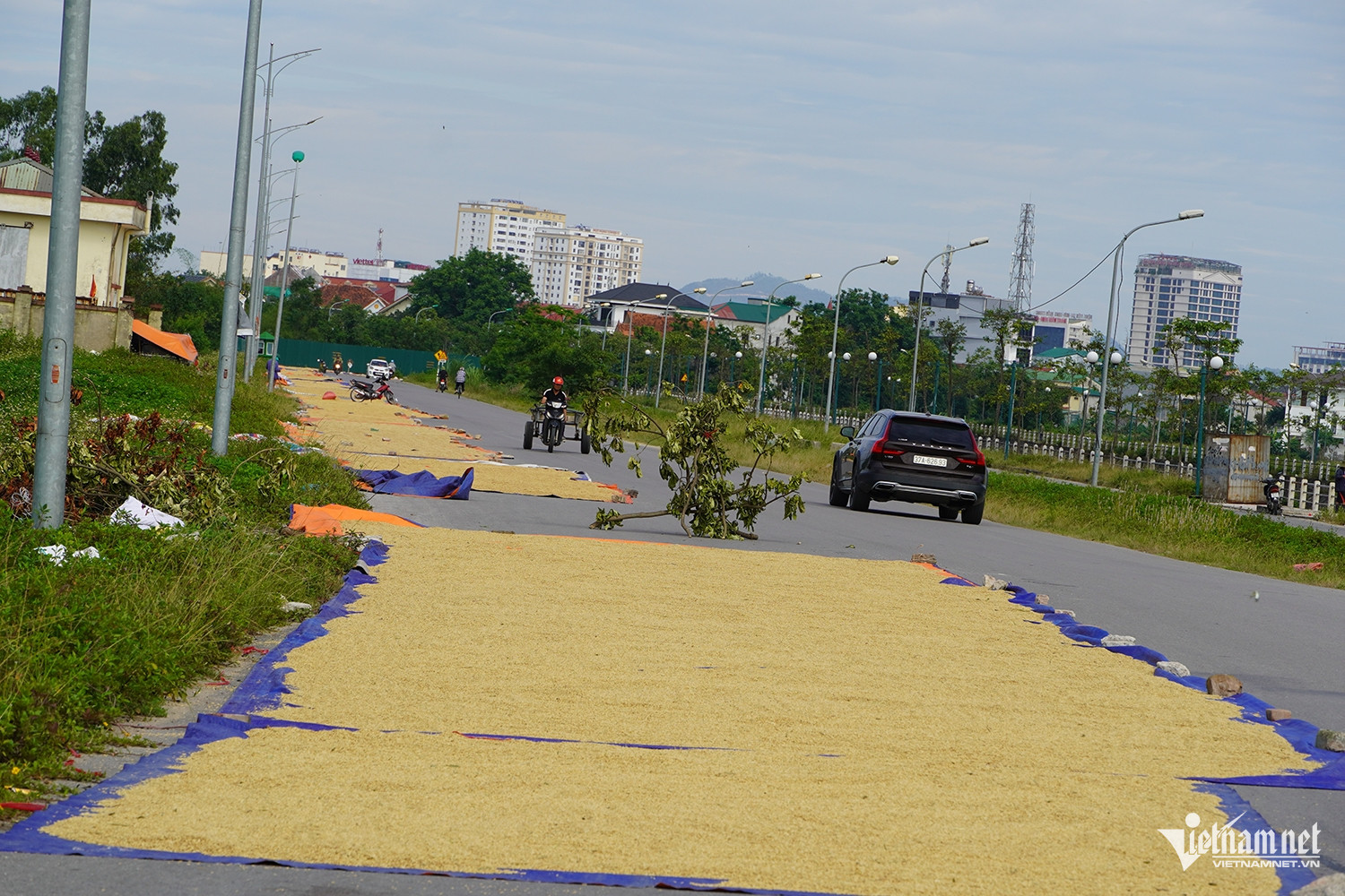 W-phơi lúa 5.JPG.jpg