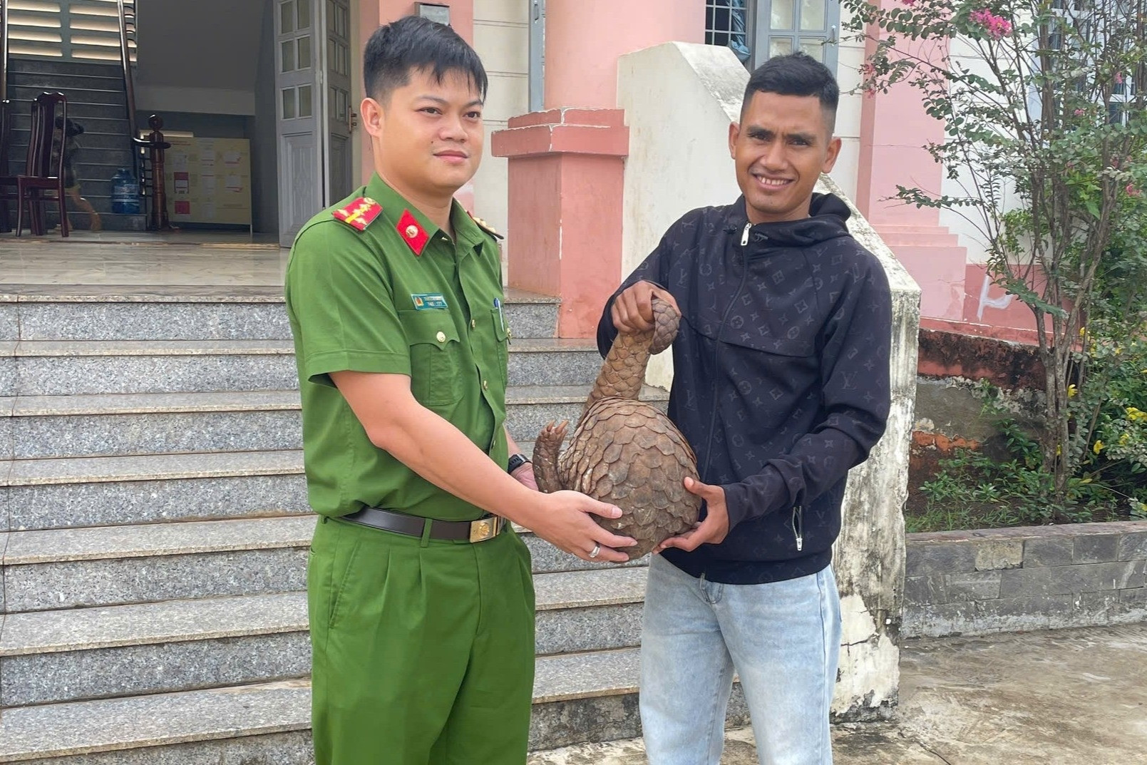 Đi soi ếch, phát hiện tê tê Java 'khủng' cực quý hiếm