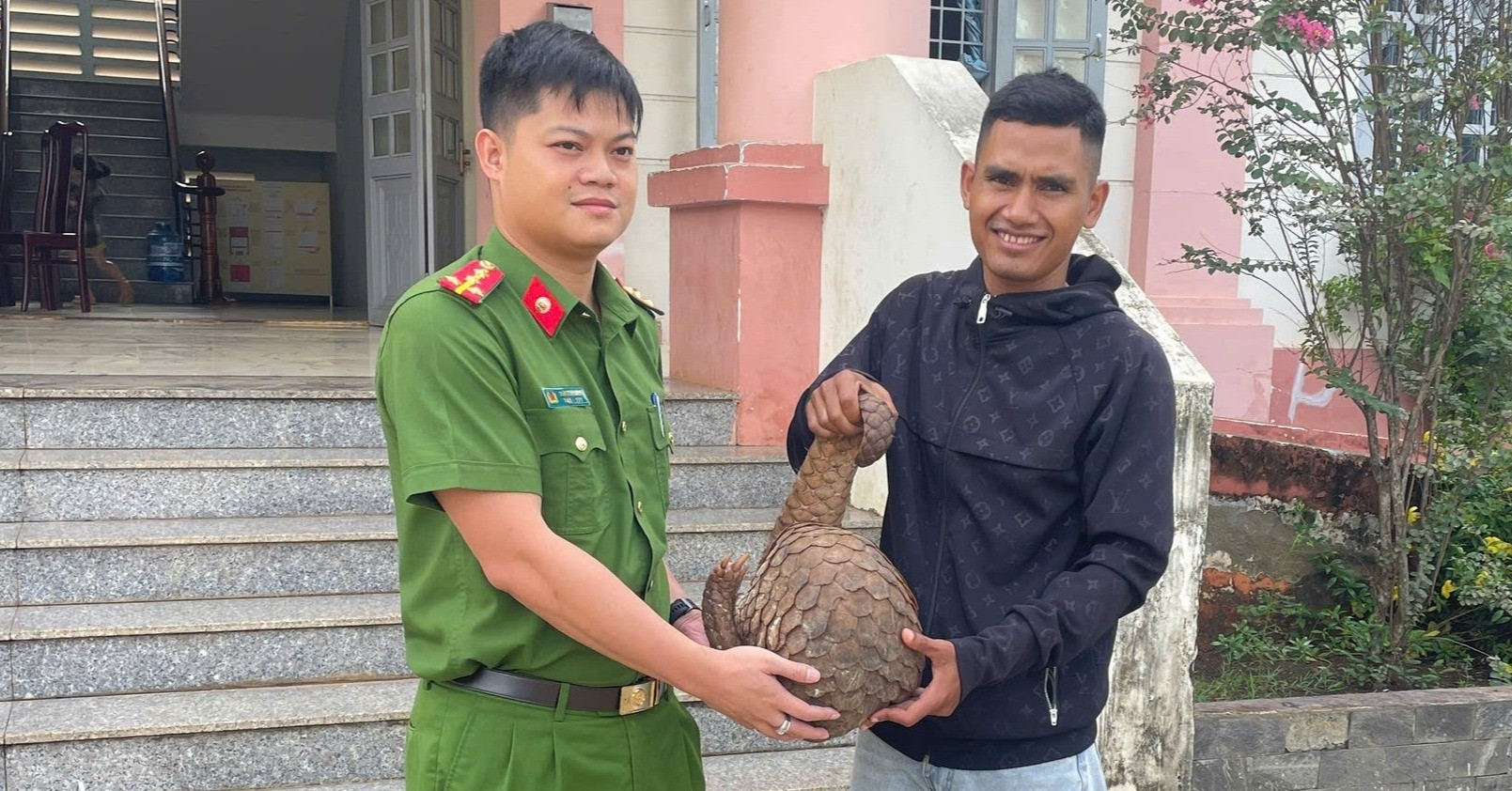 Đi soi ếch, phát hiện tê tê Java &amp;apos;khủng&amp;apos; cực quý hiếm