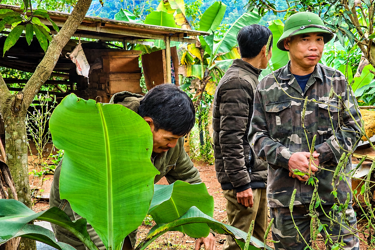 Tuyên Quang: Người có uy tín tích cực tuyên truyền giảm nghèo thông tin