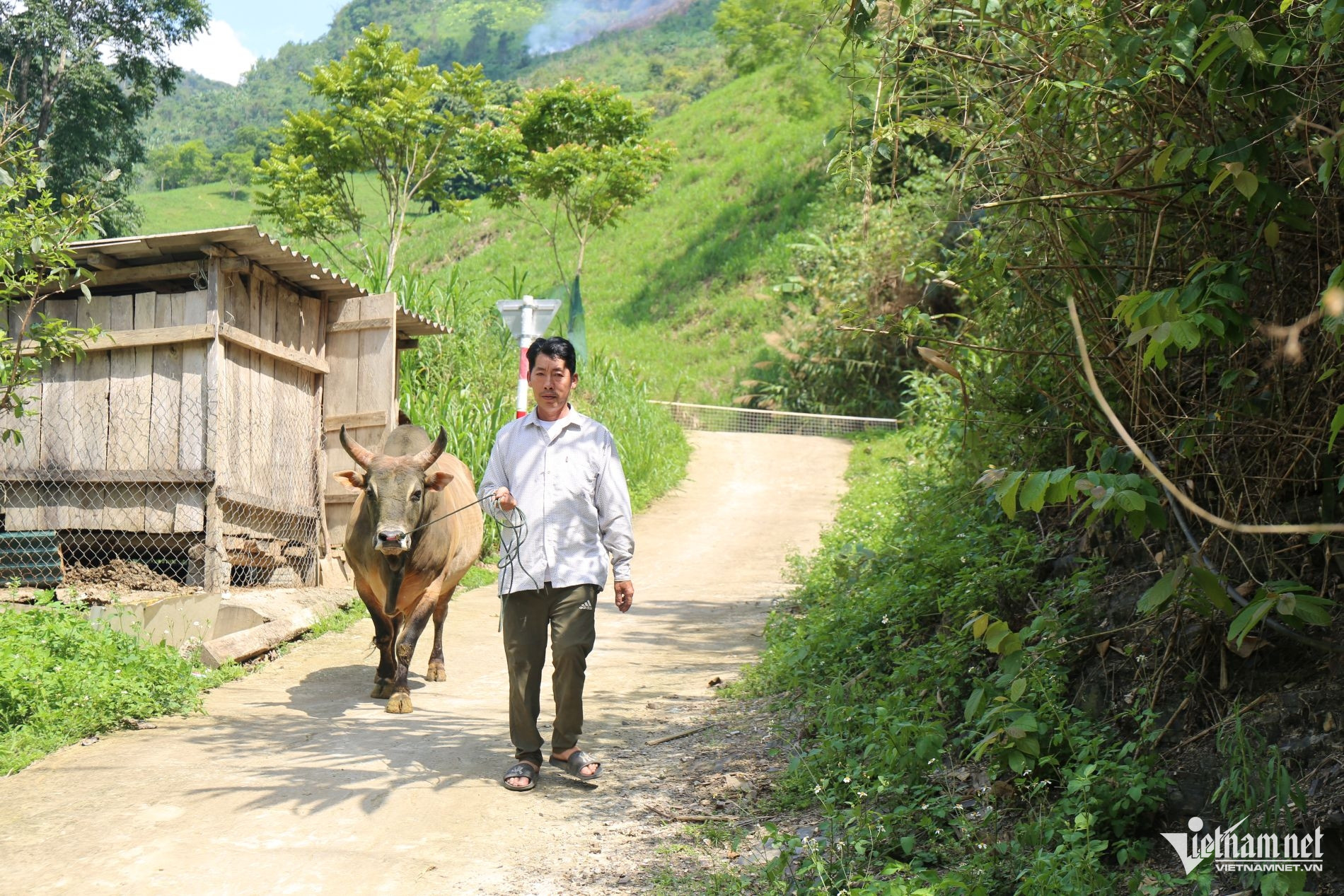 W-“Mình vào Đảng rồi mà cứ nghèo mãi thì ngại với dân lắm”, Đảng viên Lầu Bá Chùa ở bản Mò Nừng, xã Mường Lống chia sẻ.jpg