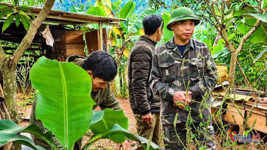 W-Quản Bạ.png