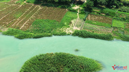 W-thon yen phu 2.jpg