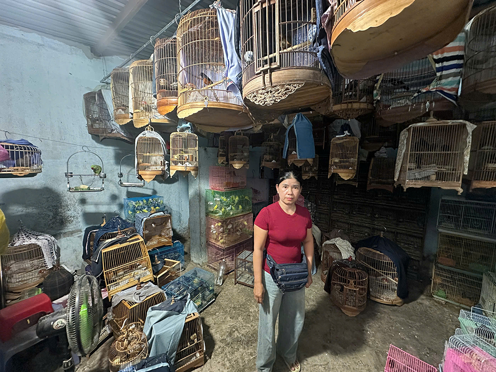 dong vat hoang da 1.png