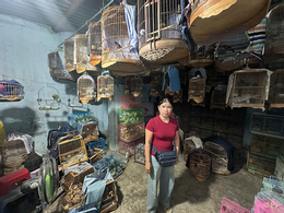 dong vat hoang da 1.png