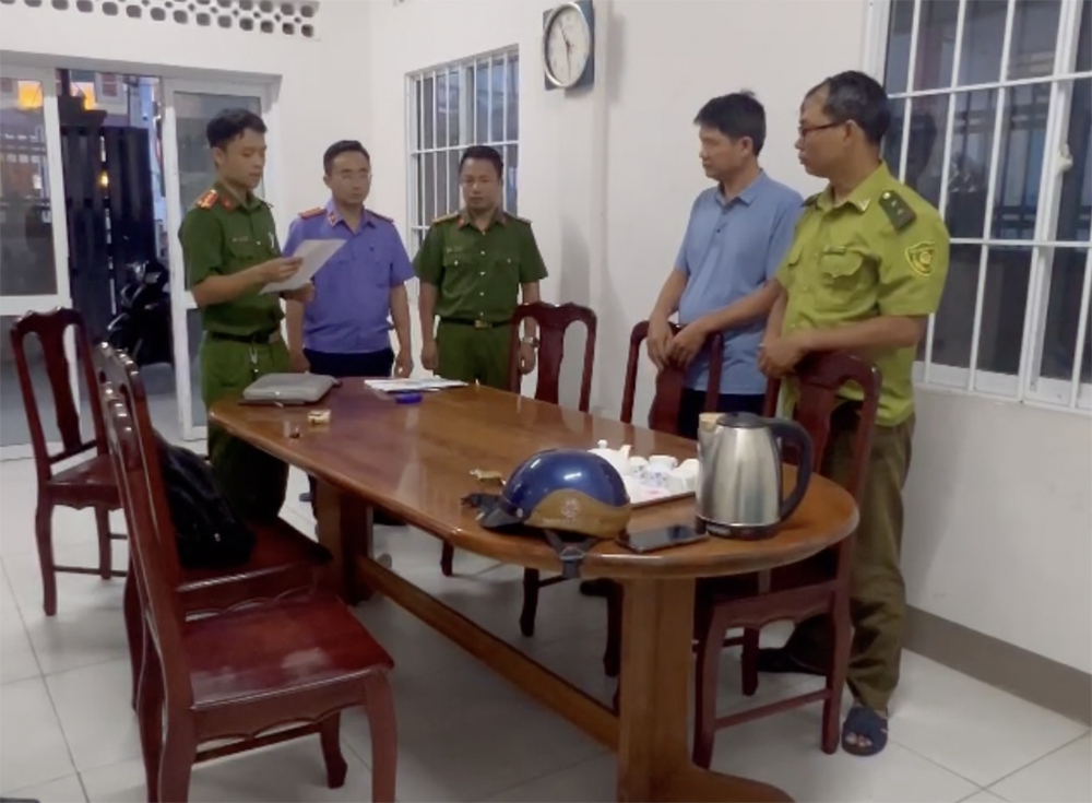 dong vat hoang da 2.png