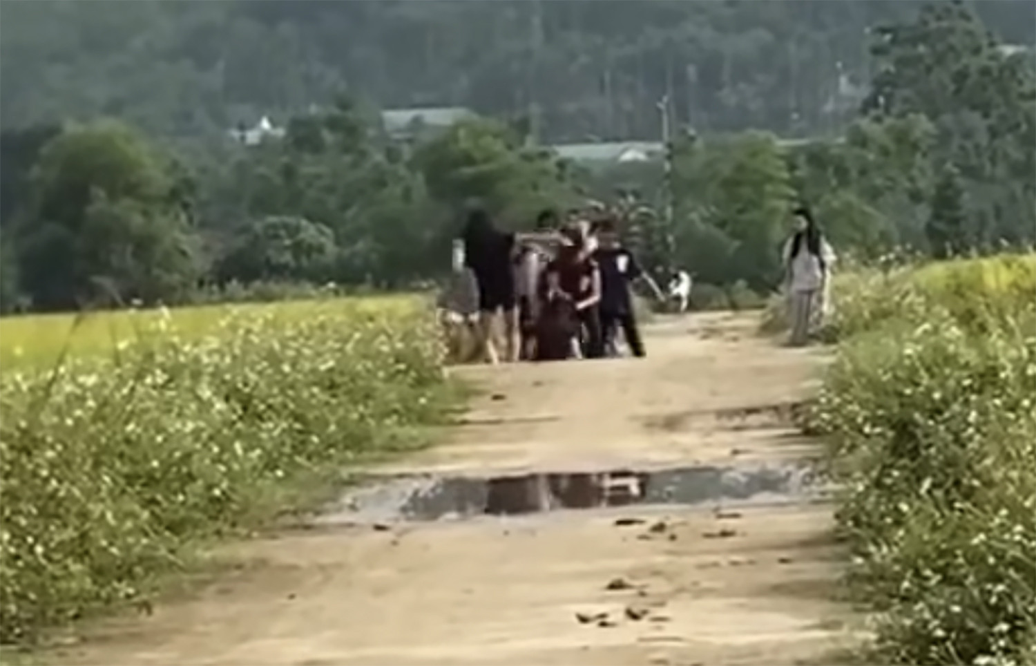nữ sinh bị đánh hội đồng.jpg