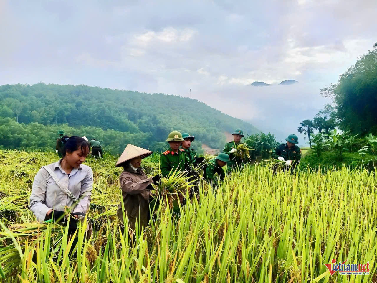 W-anh ban sang vung bien.jpg