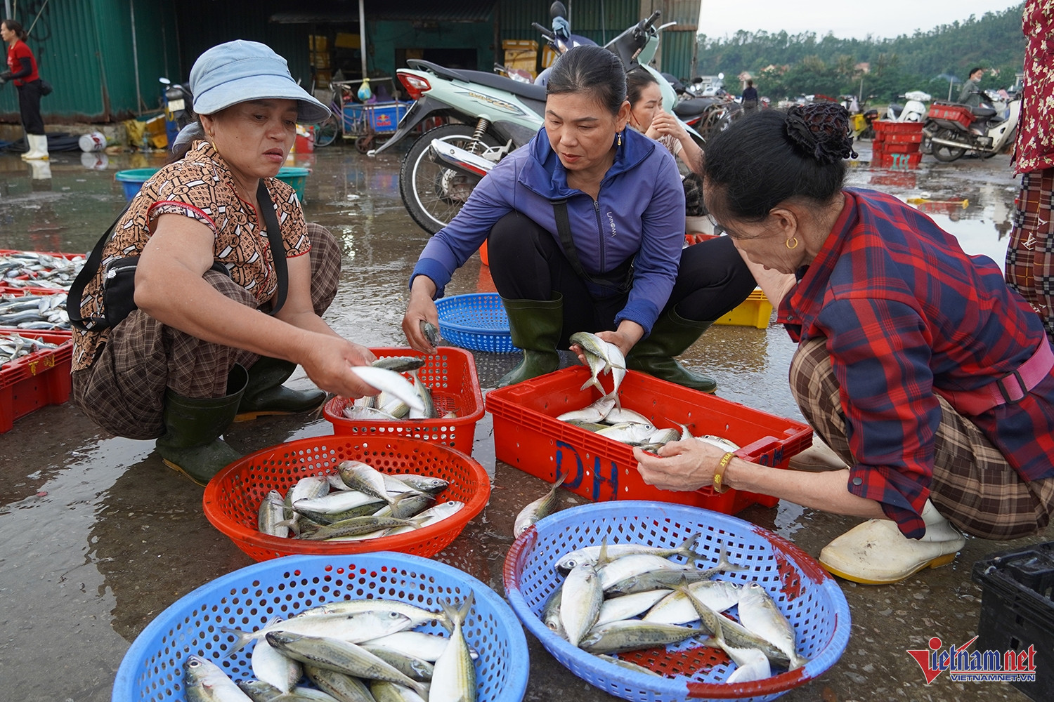 W-chợ cá nghi thuỷ 6.JPG.jpg