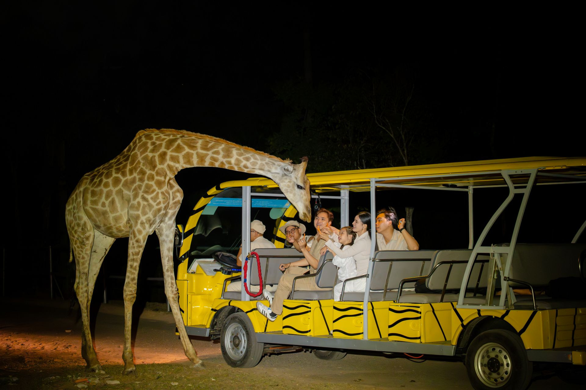 5 Phú Quốc Night Safari.jpg
