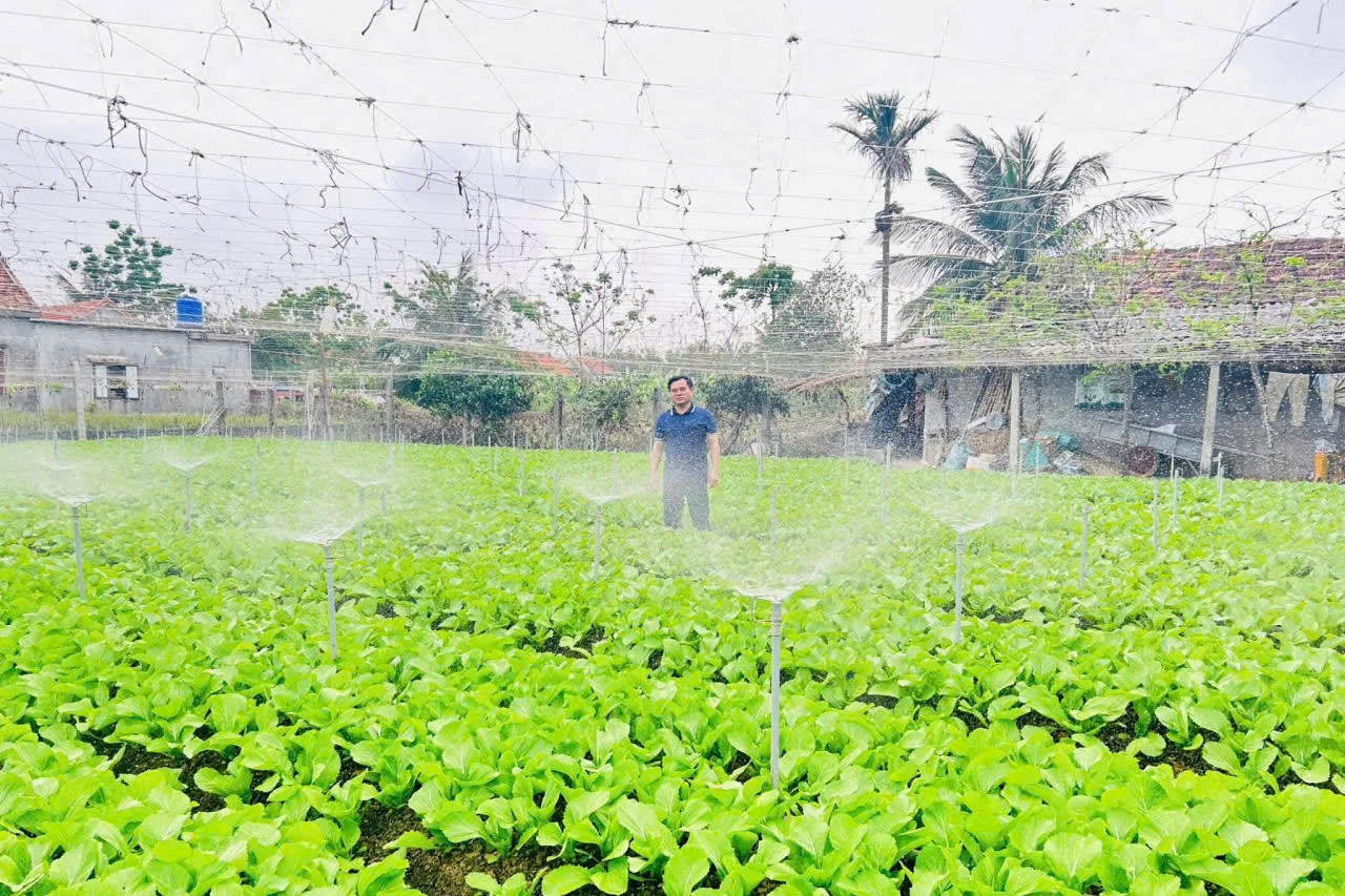 Giảm nghèo thông tin giai đoạn 2026 - 2035: Chuyển đổi số là đòn bẩy đột phá