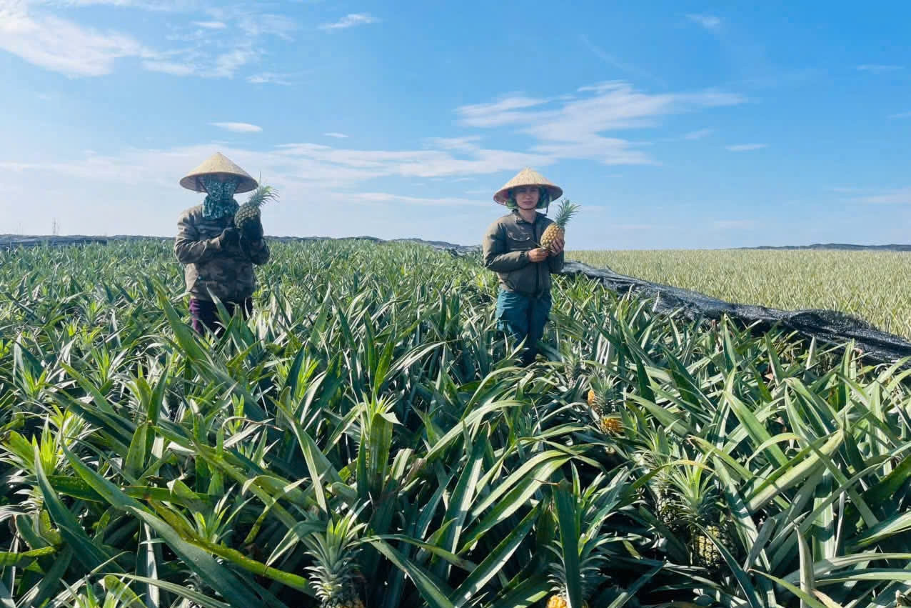 Lào Cai đẩy mạnh giảm nghèo thông tin trong sản xuất và tiêu dùng bền vững