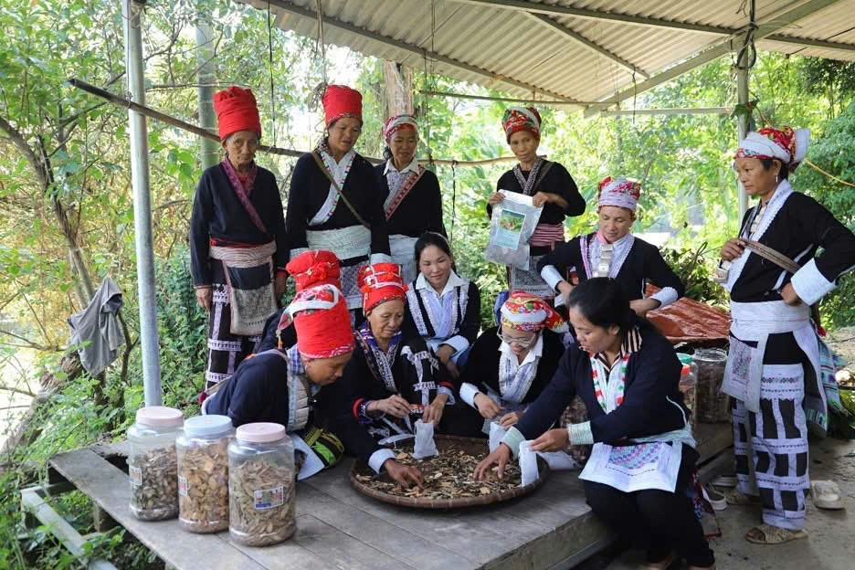 Pa Tần đẩy mạnh giảm nghèo thông tin, xây “lá chắn số” vùng biên