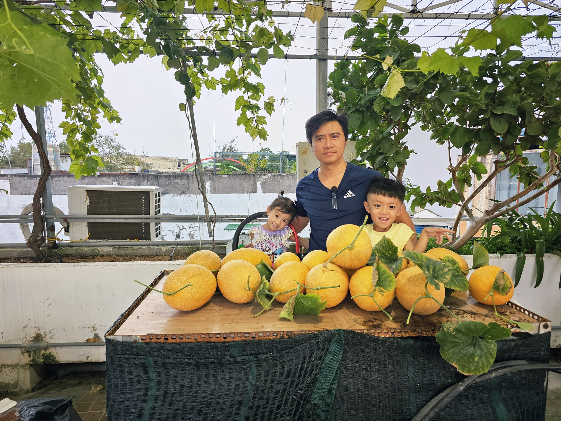 https://static-images.vnncdn.net/vps_images_publish/000001/000003/2026/5/21/vuon-san-thuong-ld-2112.jpg
