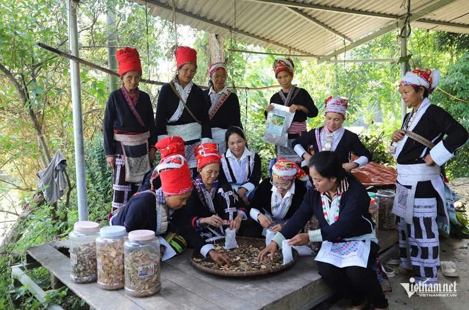 W-anh lao cai.jpg