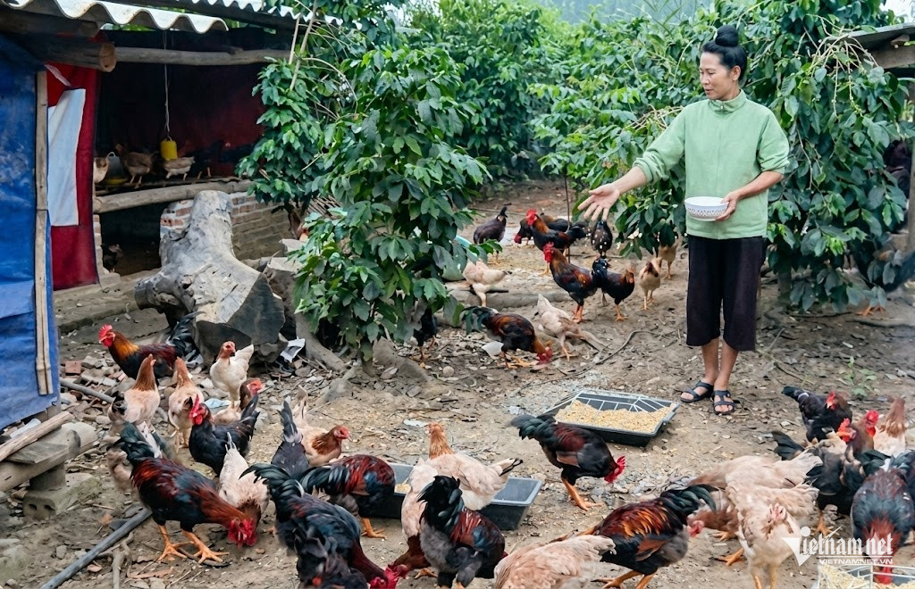 W-Khuyen nong tinh Dien Bien.jpg