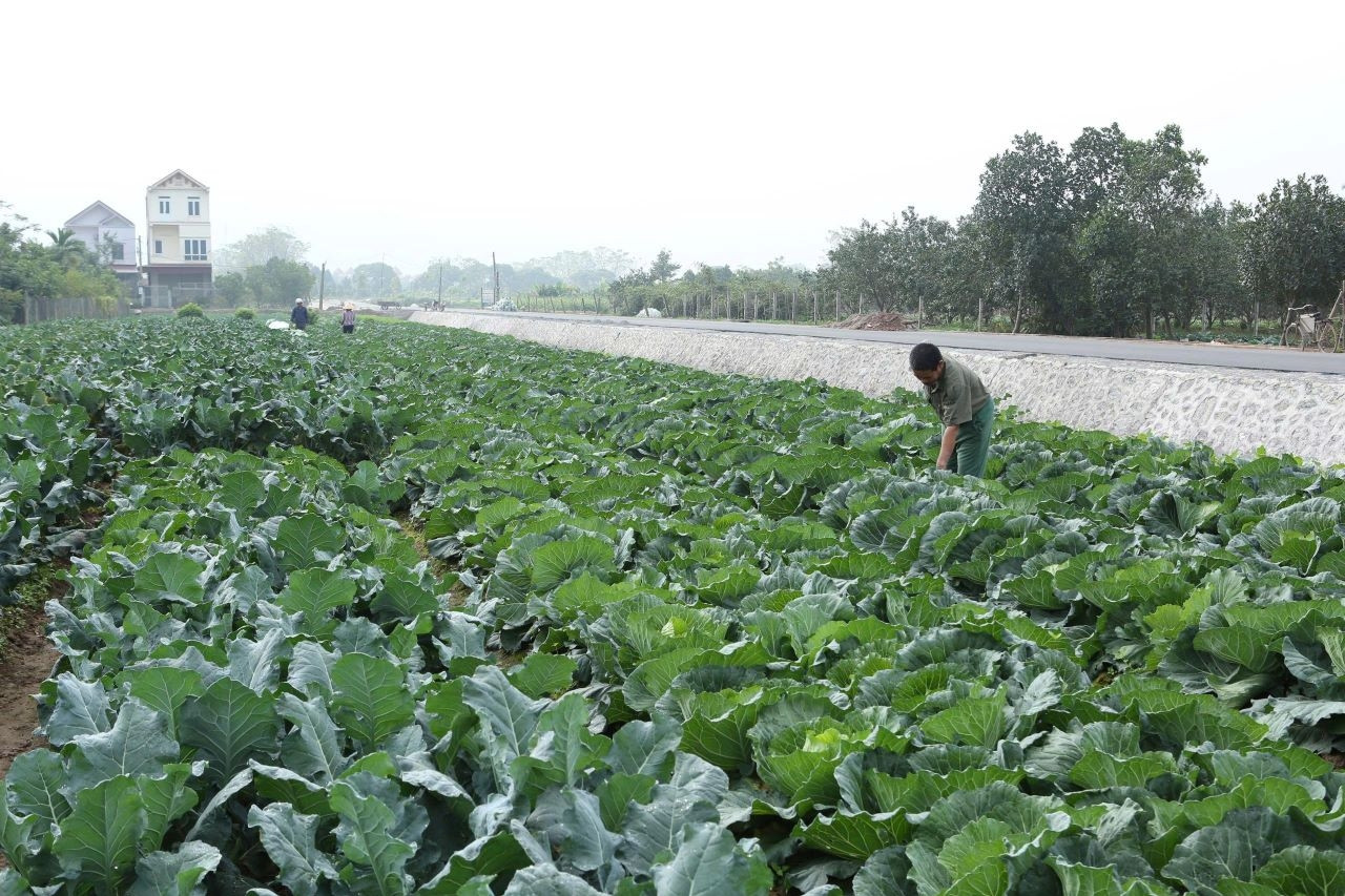 Xã nông thôn số: Xóa khoảng cách thông tin, mở lối phát triển bền vững