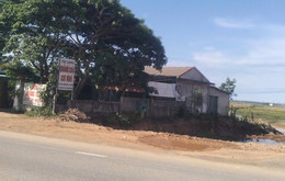 ảnh 2.jpg