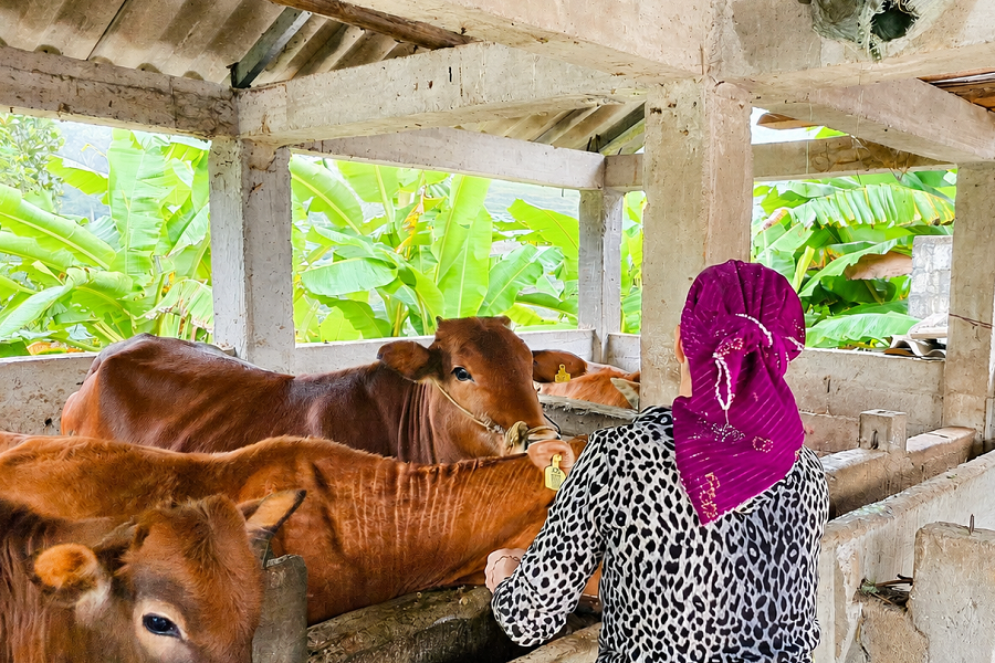 Cà Pống triển khai linh hoạt các hình thức giảm nghèo thông tin