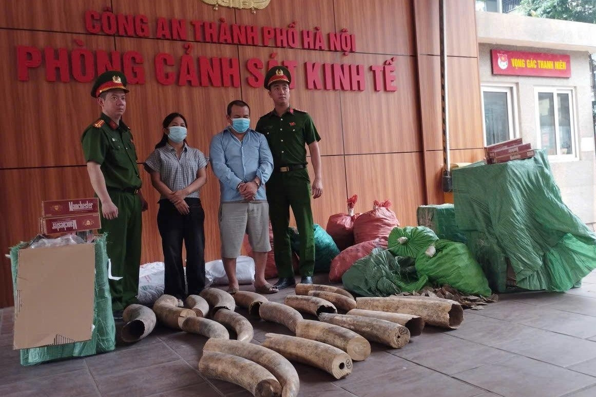 Phá đường dây tội phạm liên quan 242kg ngà voi, gần 70.000 bao thuốc lá lậu
