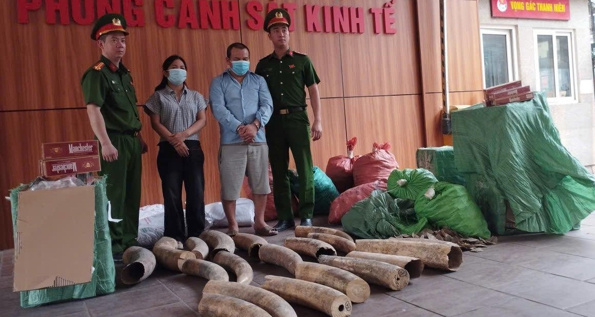 Phá đường dây tội phạm liên quan 242kg ngà voi, gần 70.000 bao thuốc lá lậu