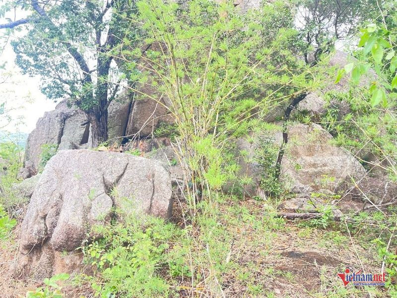 W-Đá ông Phật 4.jpg