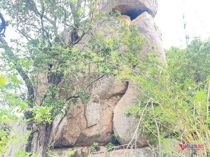 W-Đá ông Phật 5.jpg