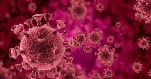 Nam thanh niên nhiễm virus gây ung thư vì sở thích tình một đêm