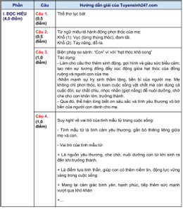 Ninh Bình 1.jpg