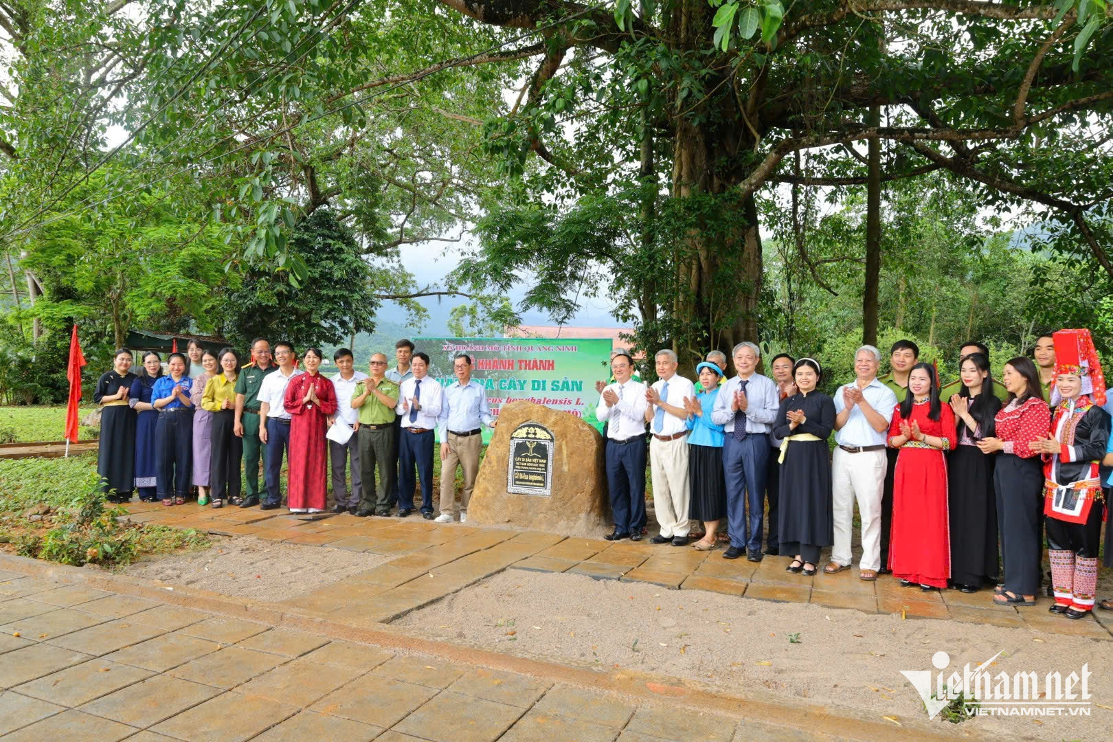 W-Đến nay, toàn xã có 26 cây cổ thụ, 45 cây đa tại khu dân cư, 5 cây chè cổ thụ trên núi cao và 11 cây hồi được công nhận là Cây di sản Việt Nam.jpg