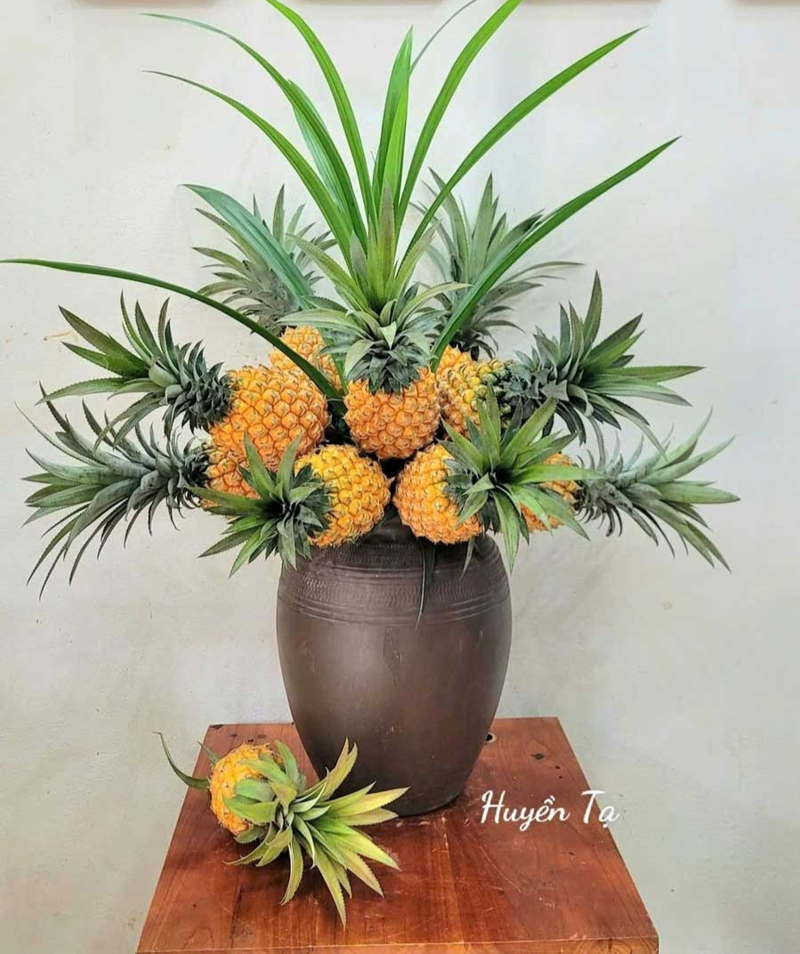 https://static-images.vnncdn.net/vps_images_publish/000001/000003/2026/5/25/me-dam-tro-tai-cam-binh-hoa-0-dong-lam-diu-can-nha-mua-nang-nong-1417.jpg