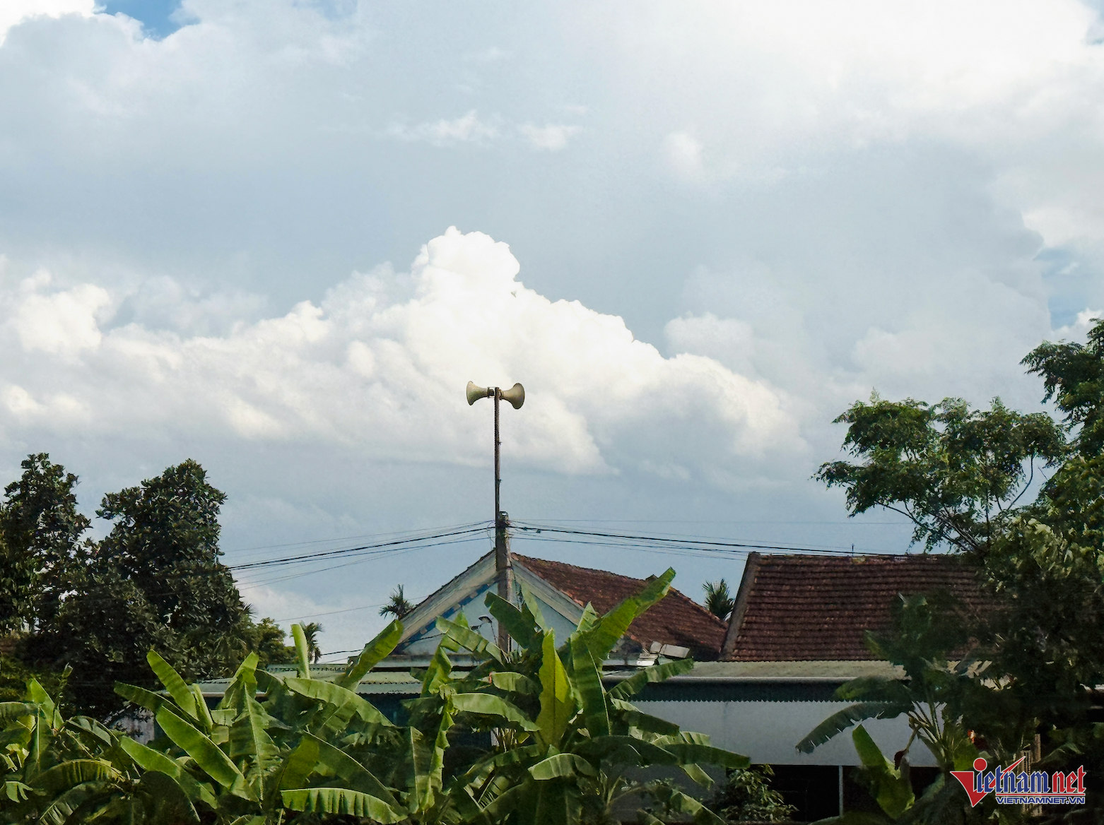 W-Lang sơn.png