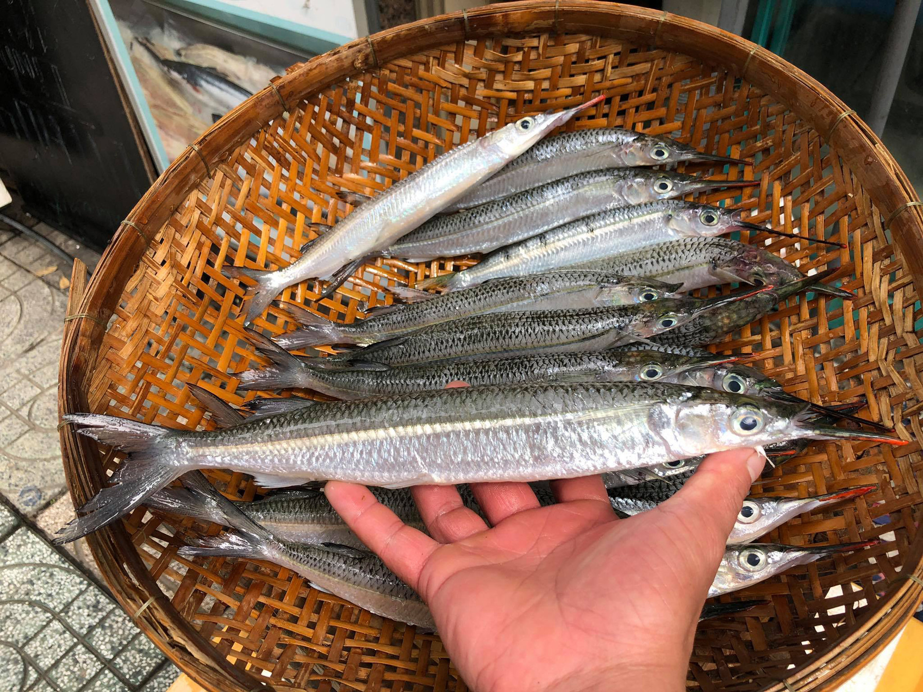 cá dẫu biển hải sản Gành Cá.jpg