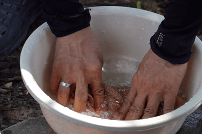 Hà Nội nắng nóng 'như thiêu như đốt', người dân tìm đủ cách hạ nhiệt