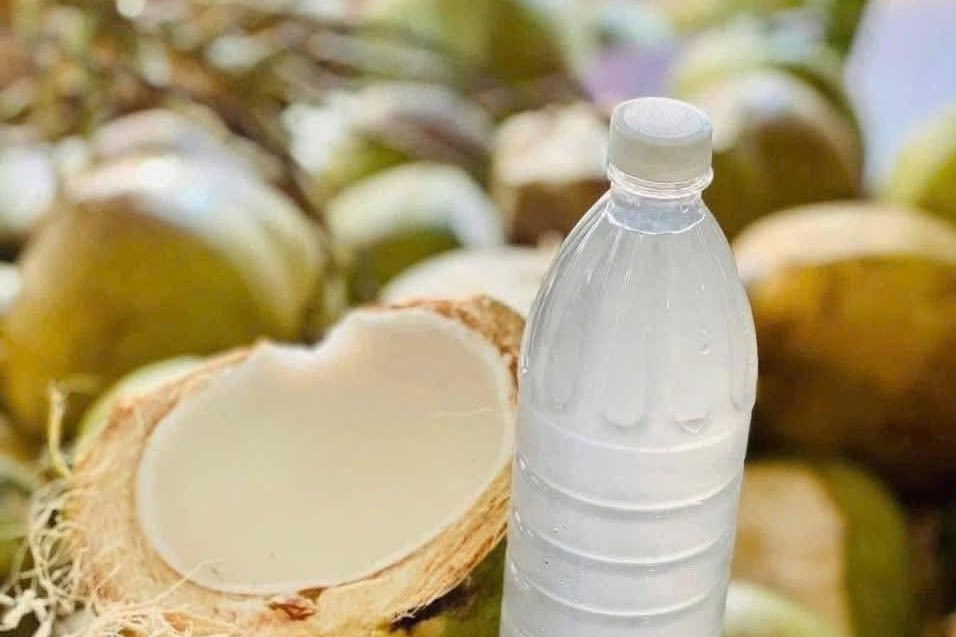 Nắng nóng đỉnh điểm: Có nên uống 2-3 quả dừa mỗi ngày thay nước lọc?