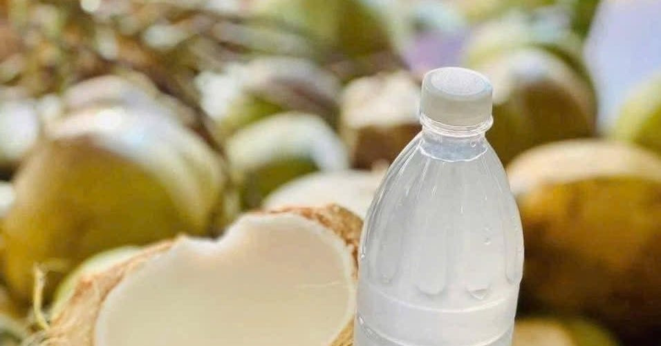 Nắng nóng đỉnh điểm: Có nên uống 2-3 quả dừa mỗi ngày thay nước lọc?