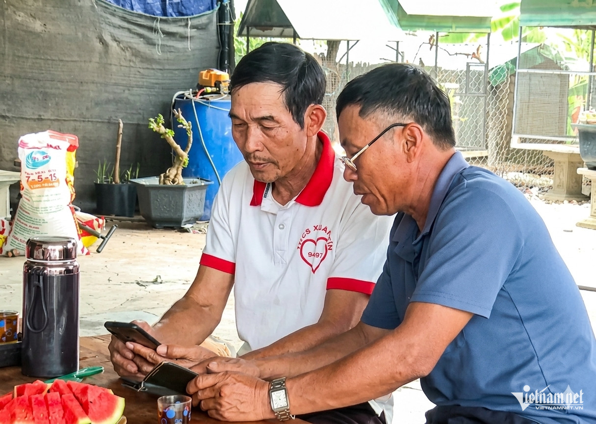 W-Nang luc so2.jpg