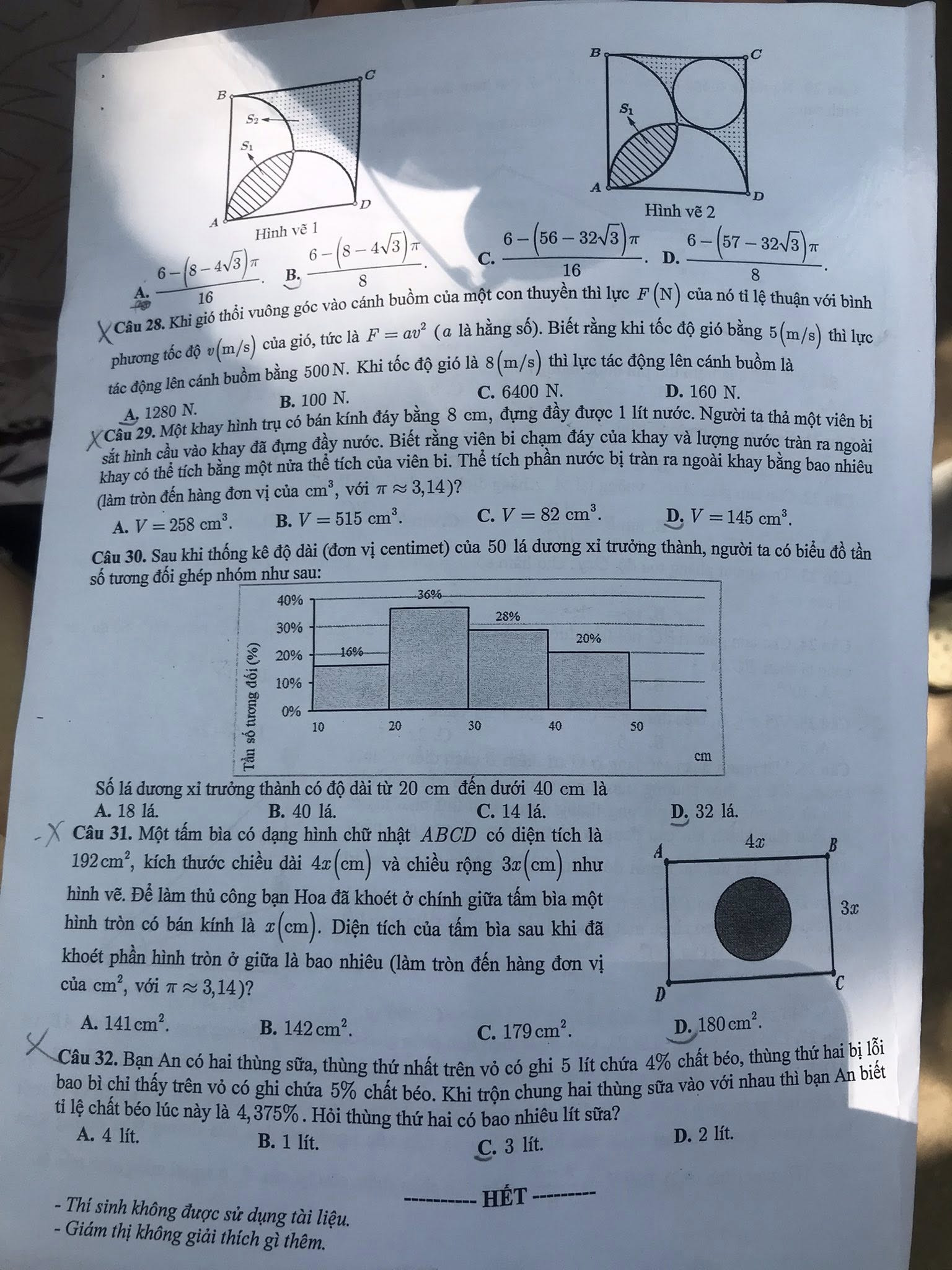 707030676_1295818799384450_3811382121755350183_n.jpg