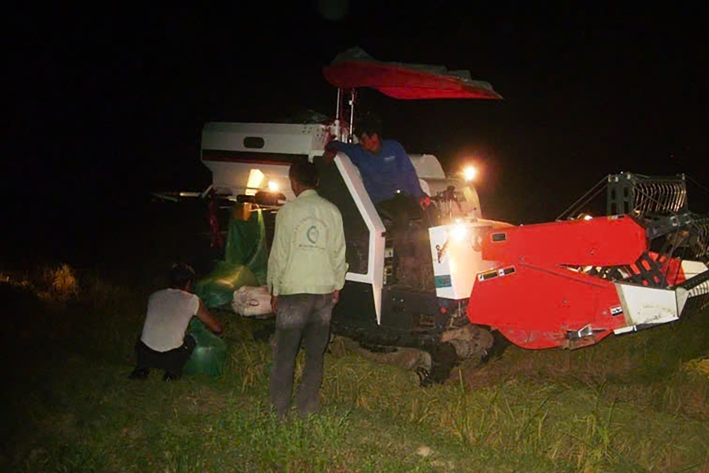  Cảnh nông dân thắp đèn xuyên đêm gặt lúa để trốn nắng 'cháy da' 