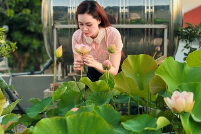 ‘Cõng bùn' lên sân thượng, 9X Quảng Ninh biến mái nhà thành vườn sen thơm ngát