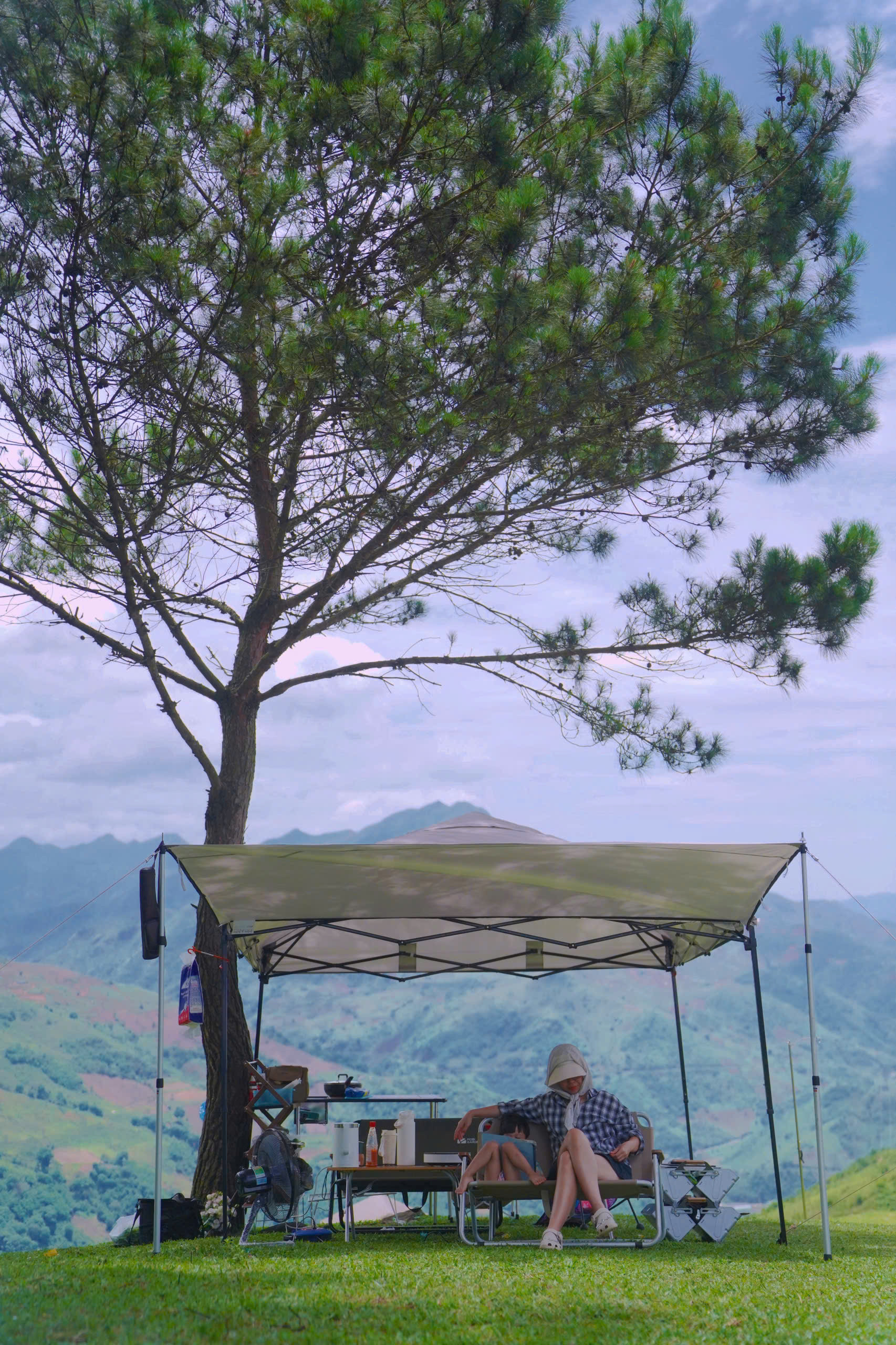 https://static-images.vnncdn.net/vps_images_publish/000001/000003/2026/5/27/dinh-pu-nhi-8-1415.jpg