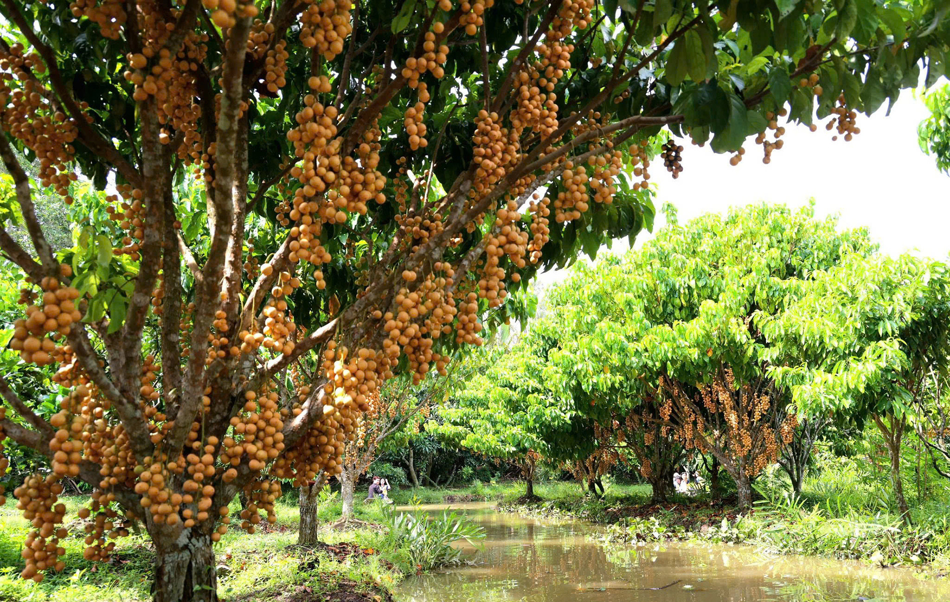 Du lịch 0.jpg